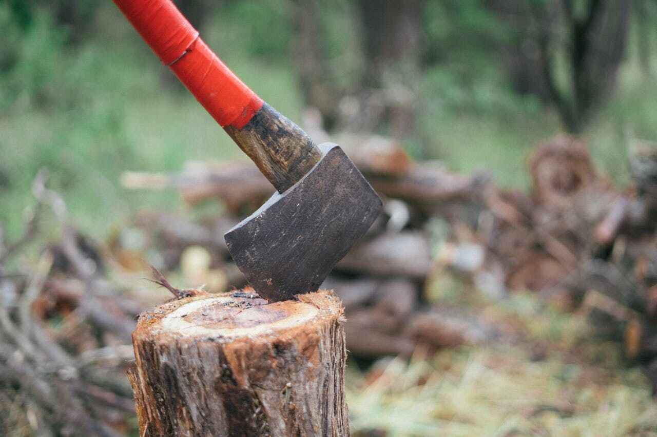 Emergency Storm Tree Removal in Pleasant Hill, MO